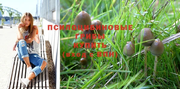 MDMA Приозерск